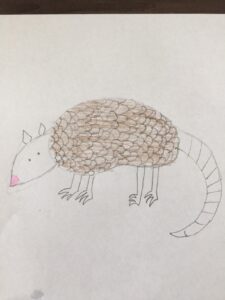 Armadillo.JPG