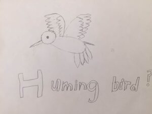 hummingbird.jpg