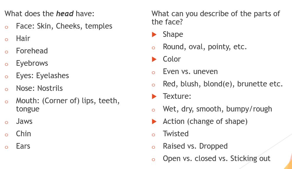 describing-facial-expression-little-writers